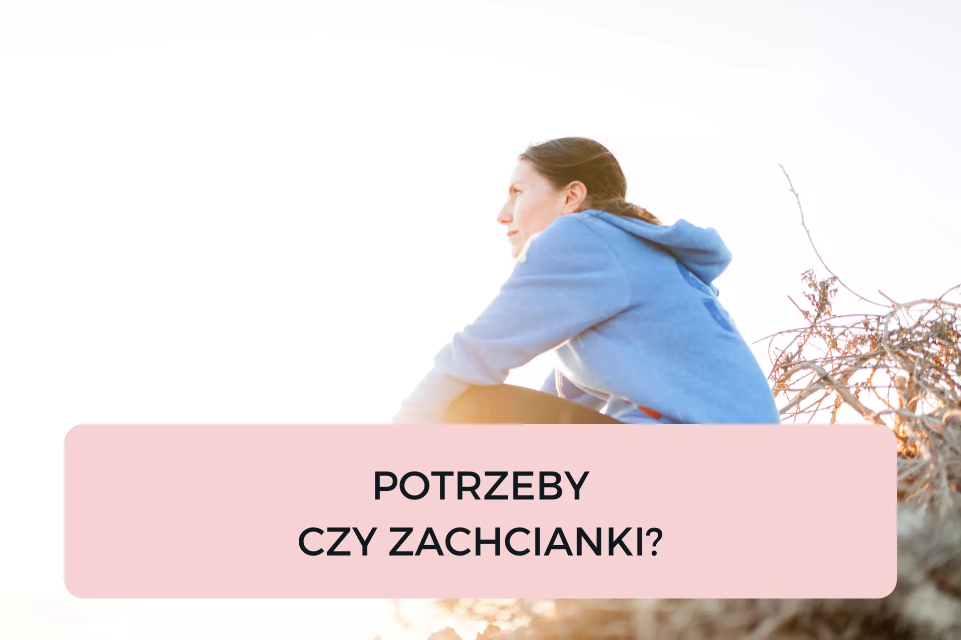 Read more about the article POTRZEBY CZY ZACHCIANKI?